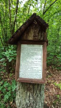 Tablica informacyjna w lesie