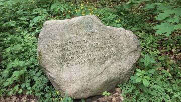Kamień z inskrypcją w lesie